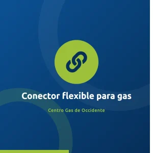 Conector flexible para gas